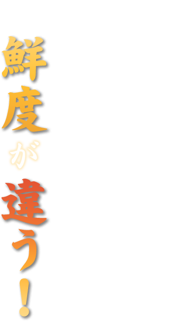 鮮度が違う！